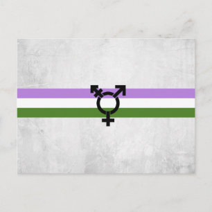 Genderqueer-Stolzflagge Postkarte