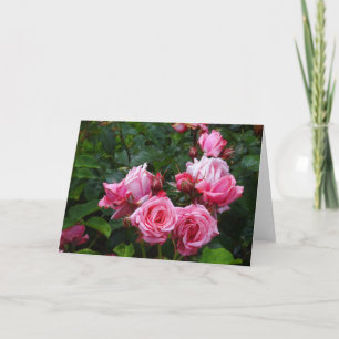 Gene Boerner Rose #1 Karte