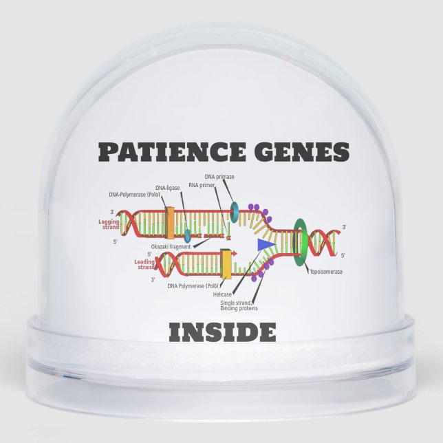 Gene von Patienten innerhalb des DNA-Replikations- Schneekugeln (Vorderseite)