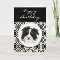 General Birthday Border Collie Pet Hund