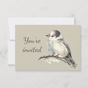 General Invite Custom Gray Jay Bird aus Kanada Einladung