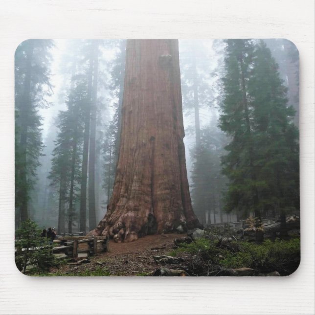 General Sherman Tree, Sequoia, CA Mousepad (Vorne)