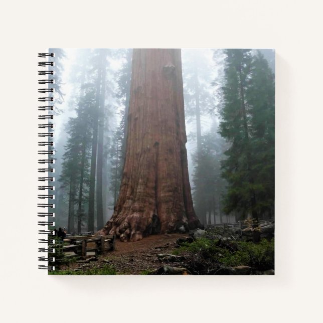 General Sherman Tree, Sequoia, CA Notizbuch (Vorderseite)