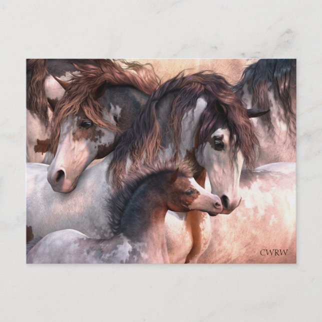 Generationen Postkarte (Vorderseite)