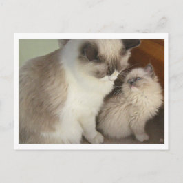 Generationen Postkarte