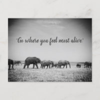 Generationen von Elefanten Grußkarte