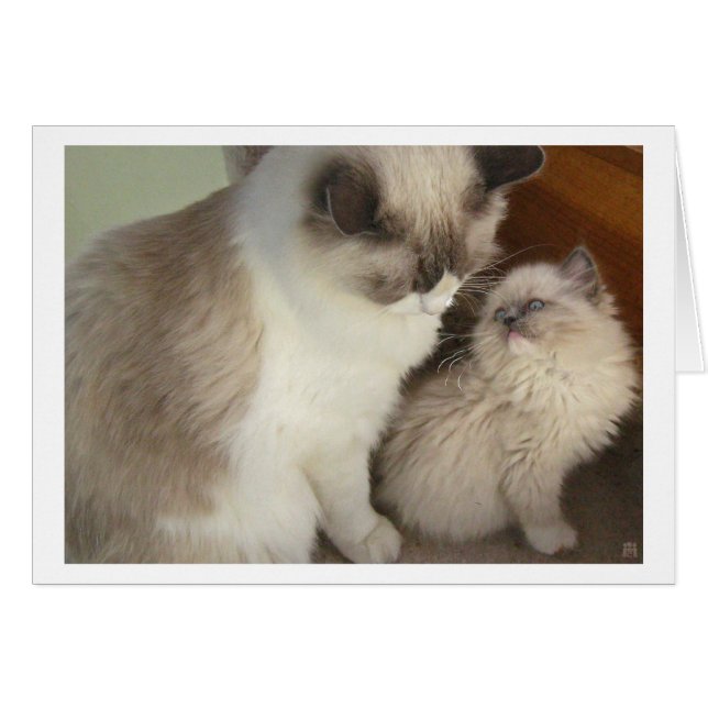 Générations (Devant horizontal)