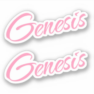 Genèse Nom décoratif en rose x2 Sticker