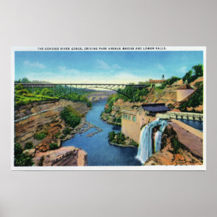 Genesee Fluss-Schlucht, Park Avenue-Brücke Poster
