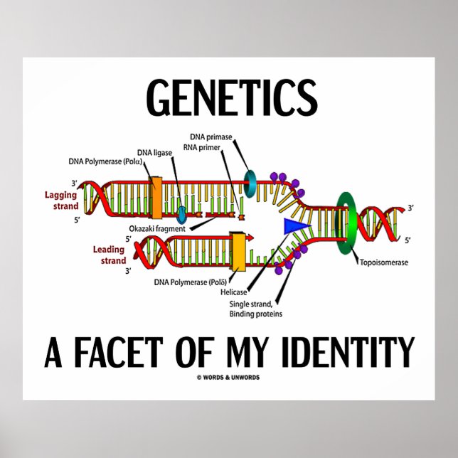 Genetik ist ein Aspekt meiner Identität (DNA-Repli Poster (Vorne)