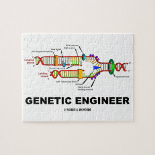 Genetische Reproduktion des Ingenieur-DNS
