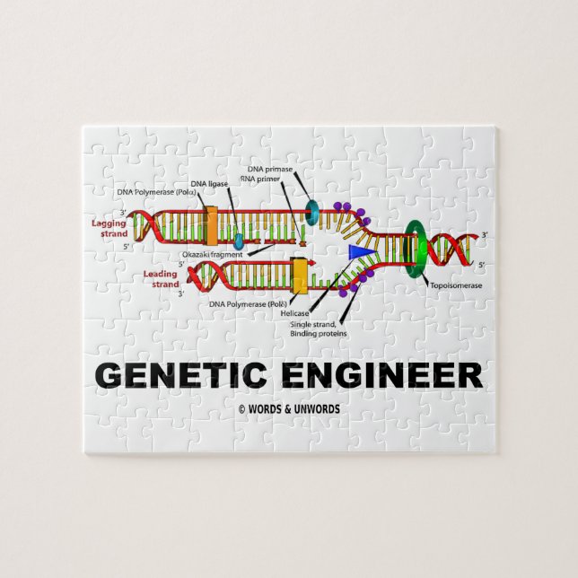 Genetische Reproduktion des Ingenieur-DNS (Horizontal)
