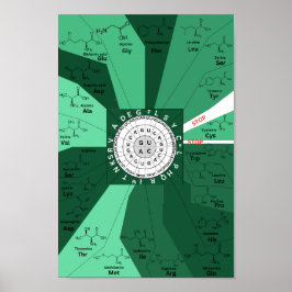 Genetisches Codon-Diagramm Rad der Aminosäuren grü Poster