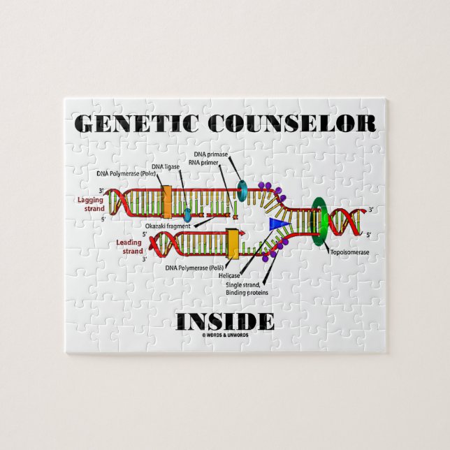 Genetisches Ratgeber-Innere (DNS-Reproduktion) (Horizontal)