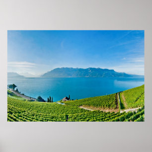 Genfersee (Gummilack Léman) 007 Poster