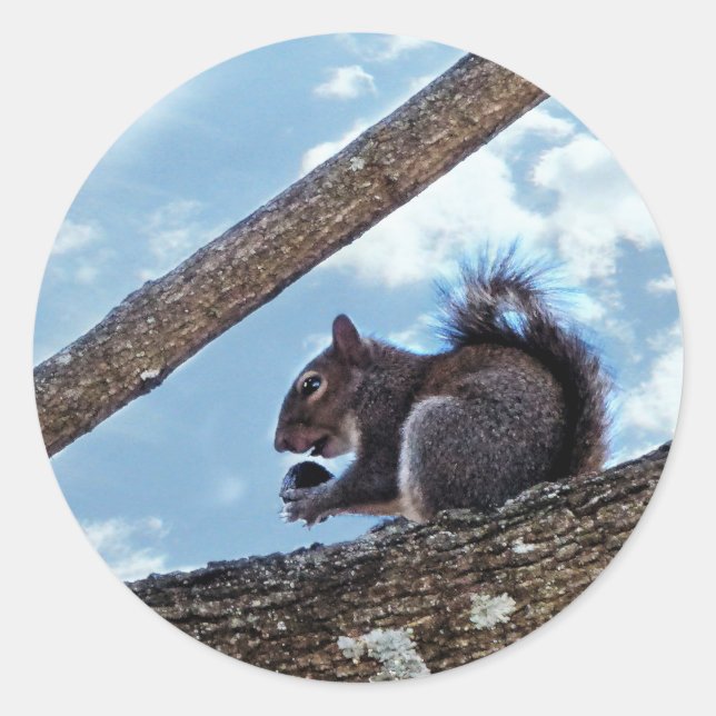 Genießen Sie eine Nut Runder Aufkleber (Vorderseite)