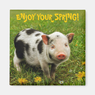 GENIESSEN SIE IHREN FRÜHLING! MAGNET