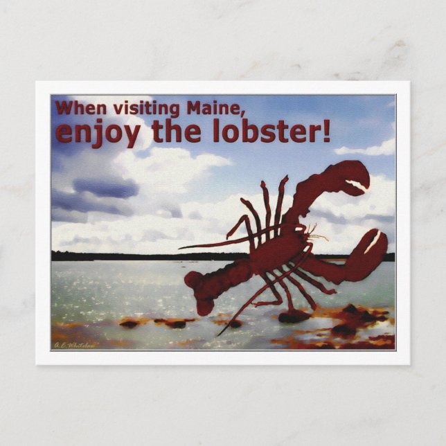 Genießen Sie Maine Lobster! Postkarte (Vorderseite)