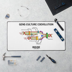 Genkultur-Koevolution in DNA-Replikation Schreibtischunterlage