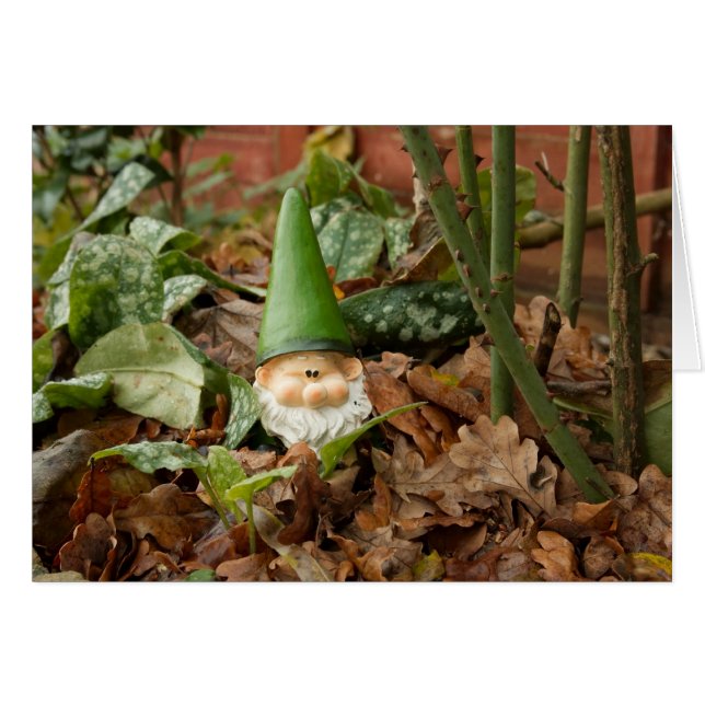 Génome du jardin (Devant horizontal)