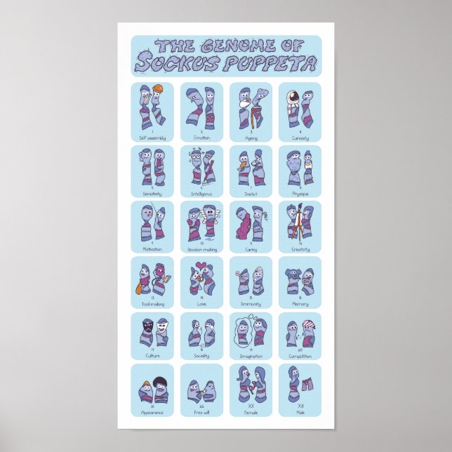 Genome of a Sock Puppet Poster (Vorne)