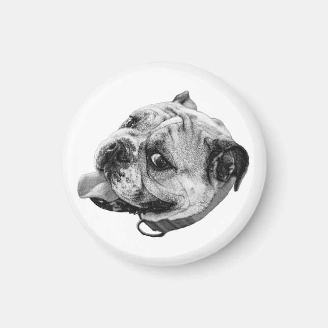 Gentle Bulldog Magnet (Vorne)