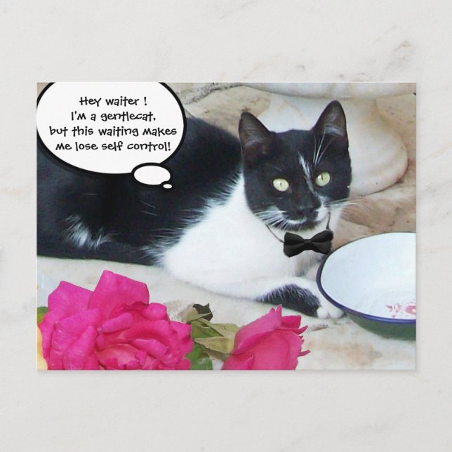 GENTLE CAT IM RESTAURANT Happy Birthday Postkarte (Vorderseite)