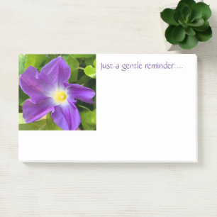 Gentle Erinnerung post-it Post-it Klebezettel