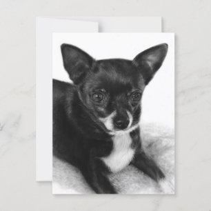 Gentle Eyes - Handgemalt Chihuahua Art Postkarte