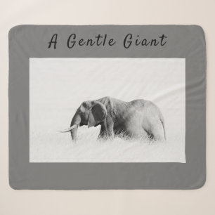 Gentle Giant Elephant Foto mit hoher Texttaste Sherpadecke
