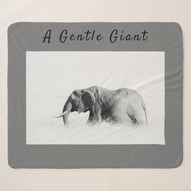 Gentle Giant Elephant Foto mit hoher Texttaste Sherpadecke (Vorderseite (Horizontal))
