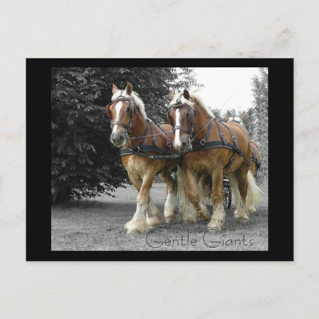 Gentle Giants Postcard Postkarte (Vorderseite)