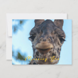 Gentle Giraffe Postkarte