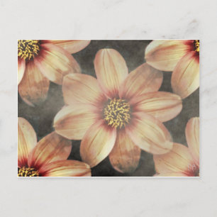 Gentle Pastel Floral Cards Postkarte