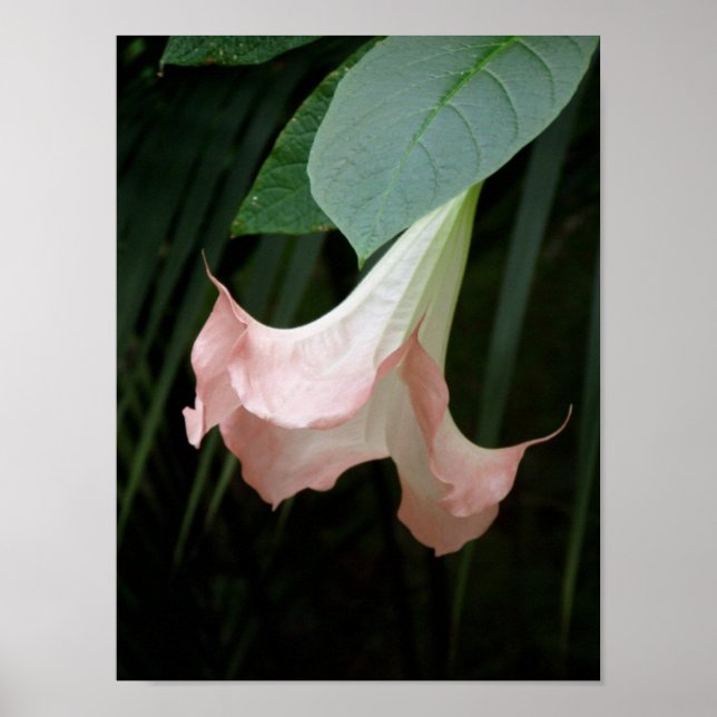 Gentle Poster (Vorne)