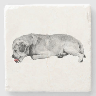 Gentle Sip, Tiny Spark Steinuntersetzer