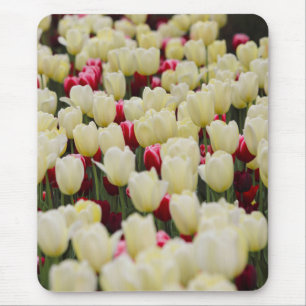Gentle Spring Flowers Mousepad