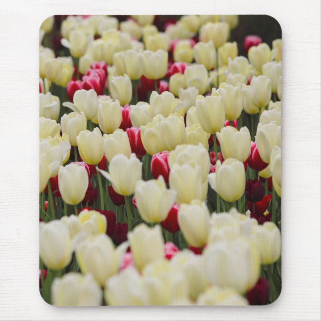 Gentle Spring Flowers Mousepad (Vorne)