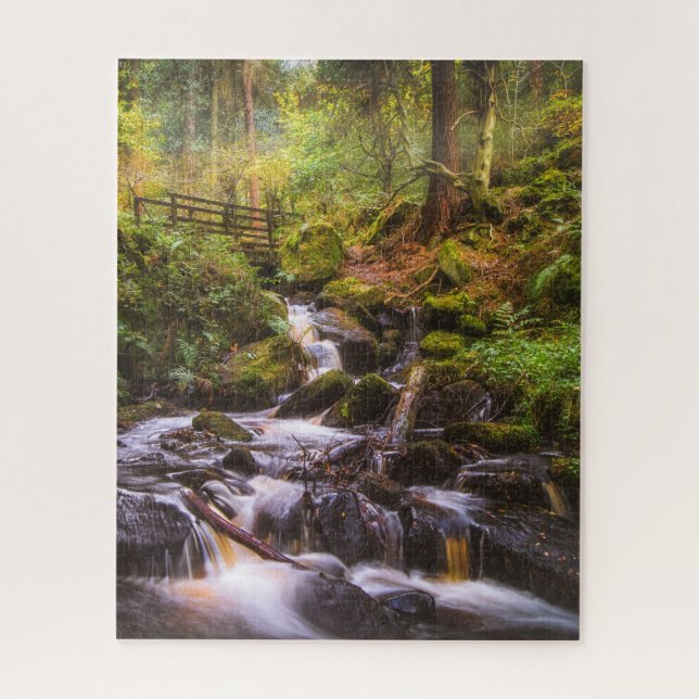 Gentle Waterfall Woodland Brook (Vertikal)