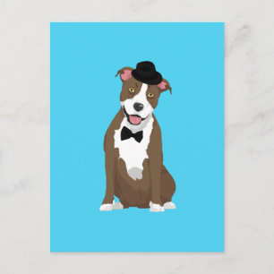 Gentleman American Staffordshire Terrier Postkarte