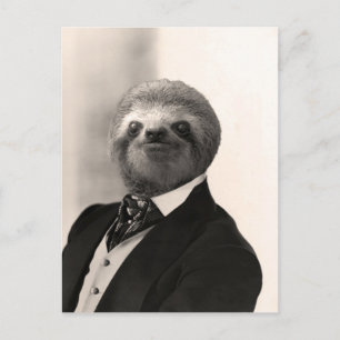 Gentleman Sloth #4 Postkarte