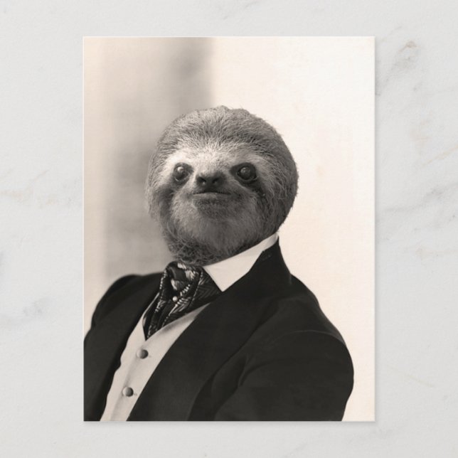 Gentleman Sloth #4 Postkarte (Vorderseite)