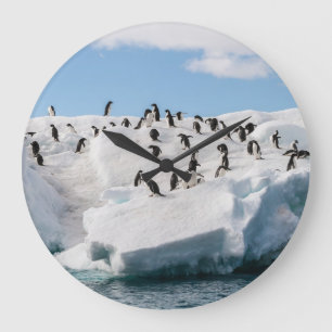 Gentoo Penguin Antarktis Iceberg Playtime Große Wanduhr