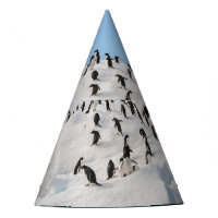 Gentoo Penguin Antarktis Iceberg Playtime