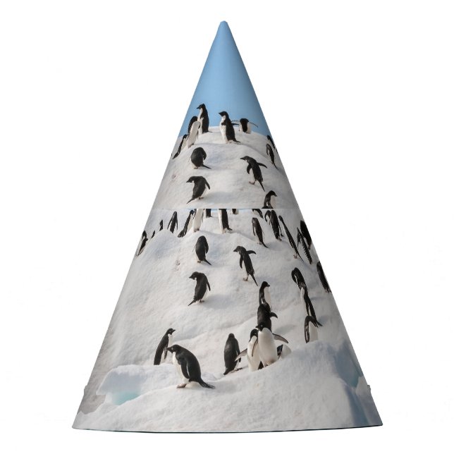 Gentoo Penguin Antarktis Iceberg Playtime Partyhütchen (Vorderseite)