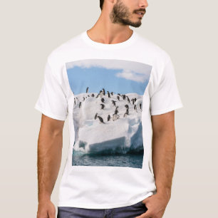Gentoo Penguin Antarktis Iceberg Playtime T-Shirt