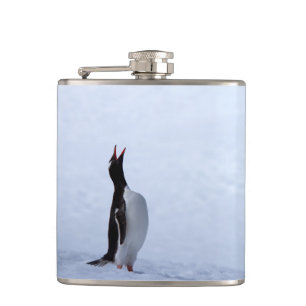 Gentoo penguin flachmann