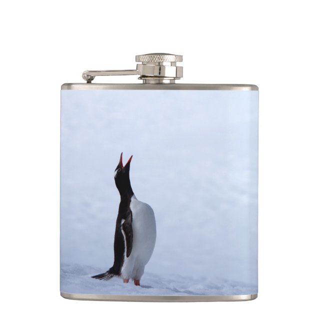 Gentoo penguin flachmann (Vorderseite)