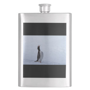 Gentoo penguin flachmann