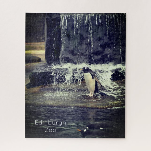 Gentoo Penguin & Friends Edinburgh Zoo Scotland Po (Vertikal)